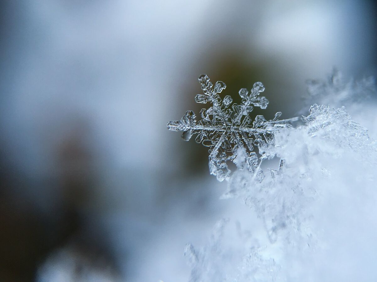 Winter at Pareda: a guarantee!